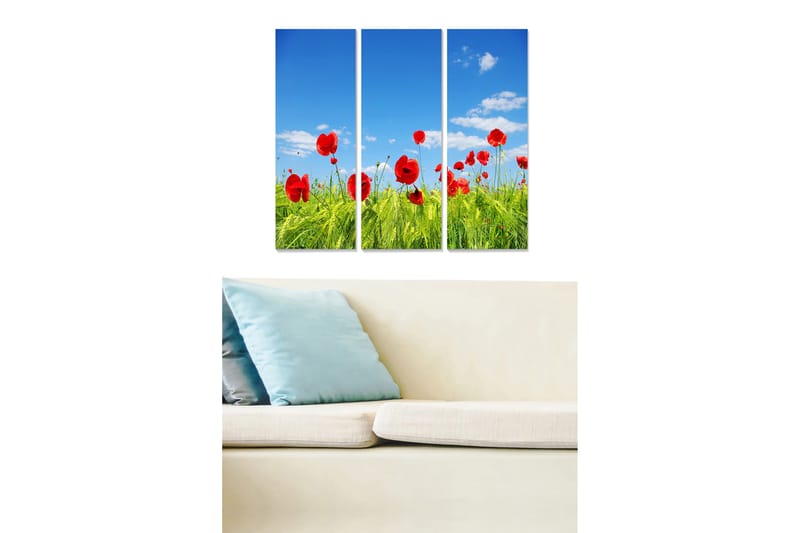 Canvastavla i trä 3-delar 50x70 cm - Röd vallmo i en grön äng under en klarblå himmel - Röd / Grön / Blå - Inredning & dekor - Tavlor & konst - Canvastavla
