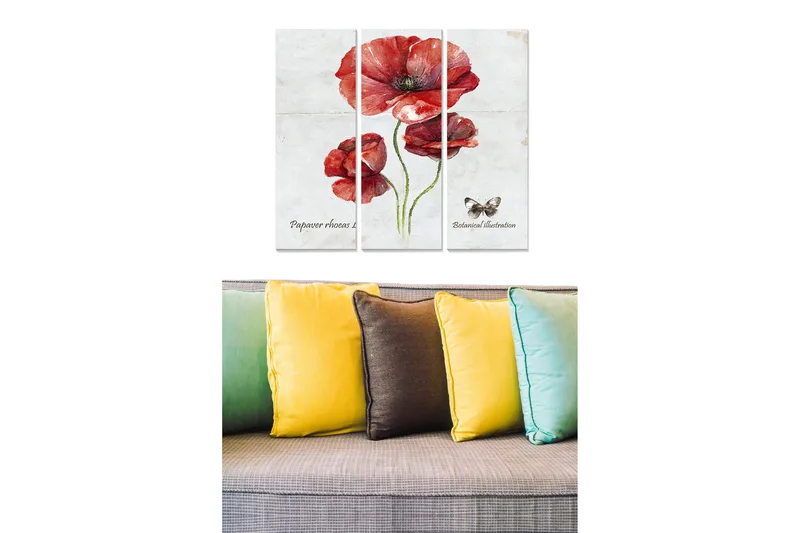 Canvastavla i trä 3-delar 50x70 cm - Röd vallmo med botanisk illustration, Röd / Grön / Beige