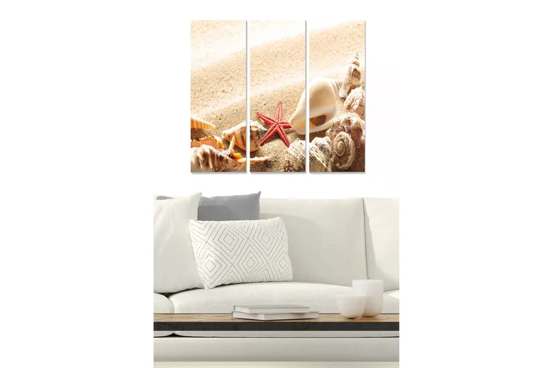 Canvastavla i trä 3-delar 50x70 cm - Snäckor och en sjöstjärna på sandstrand, Beige / Röd / Brun