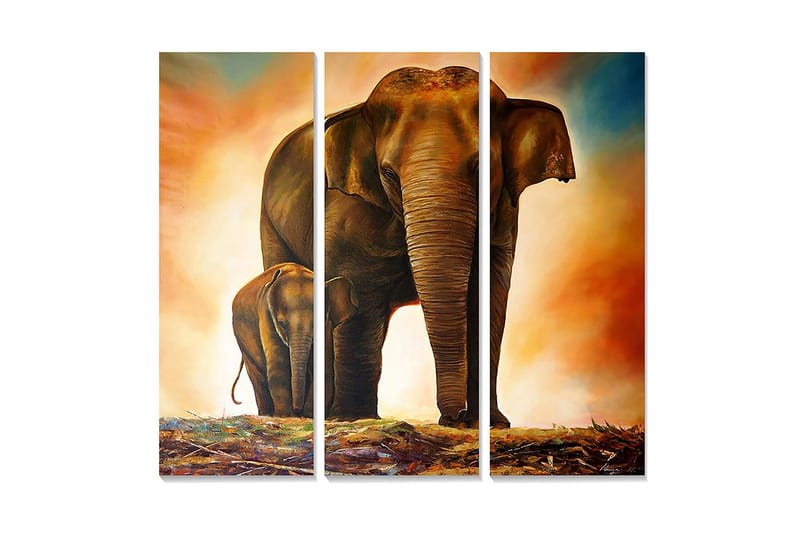 Canvastavla i trä 3-delar 50x70 cm - Storslagen elefant med kalv i en varm och dramatisk miljö, Brun / Orange / Beige