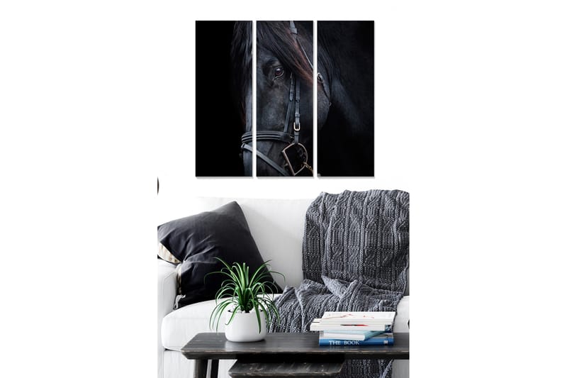 Canvastavla i trä 3-delar 50x70 cm - Svart hästporträtt med fokus på ögonen, Svart / Grå / Brun