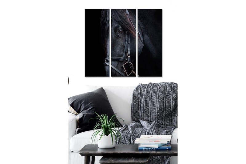 Canvastavla i trä 3-delar 50x70 cm - Svart hästporträtt med fokus på ögonen, Svart / Grå / Brun