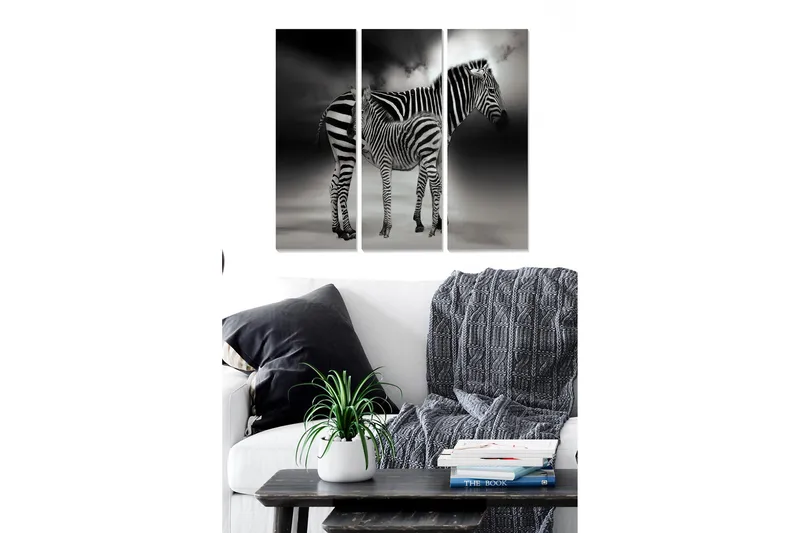 Canvastavla i trä 3-delar 50x70 cm - Svartvit zebra med dramatiska skuggor, Svart / Vit