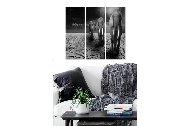Canvastavla i trä 3-delar 50x70 cm - Tre elefanter som går över en sprucken och torr markyta, Svart / Grå / Vit