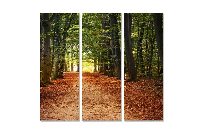 Canvastavla i trä 3-delar 50x70 cm - Vacker skogsväg omgiven av gröna träd och höstlöv, Grön / Orange / Brun