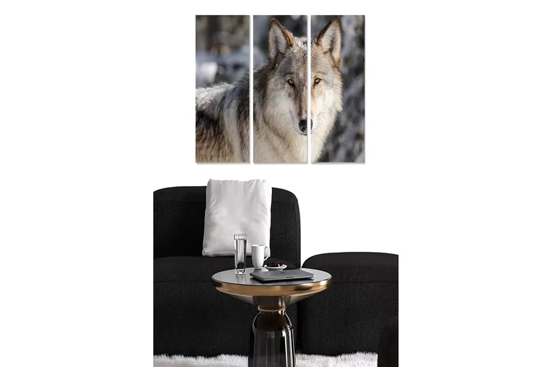 Canvastavla i trä 3-delar 50x70 cm - Varg i naturlig miljö med intensiv blick, Grå / Beige / Brun