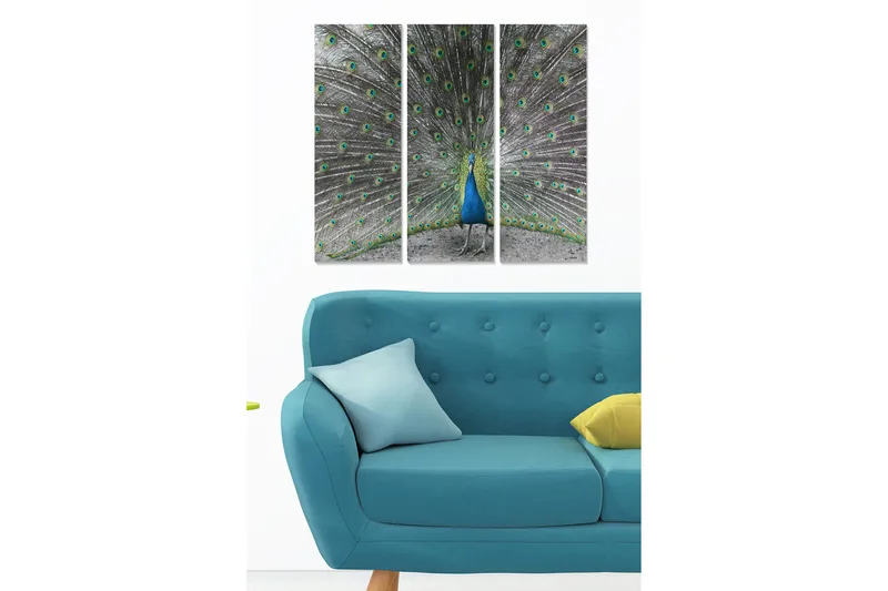 Canvastavla i trä 3-delar 50x70 cm - Praktfull påfågel med utspridda fjädrar, Blå / Grön / Grå