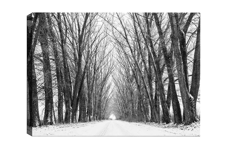 Canvastavla - Karg allé av nakna träd i vinterlandskap - Svart / Vitt / Grått - Inredning & dekor - Tavlor & konst - Canvastavla