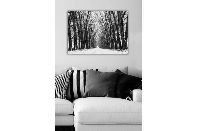 Canvastavla - Karg allé av nakna träd i vinterlandskap - Svart / Vitt / Grått - Inredning & dekor - Tavlor & konst - Canvastavla