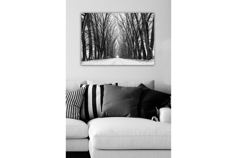 Canvastavla - Karg allé av nakna träd i vinterlandskap - Svart / Vitt / Grått - Inredning & dekor - Tavlor & konst - Canvastavla