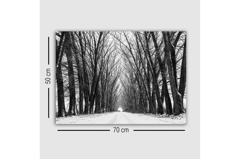 Canvastavla - Karg allé av nakna träd i vinterlandskap - Svart / Vitt / Grått - Inredning & dekor - Tavlor & konst - Canvastavla