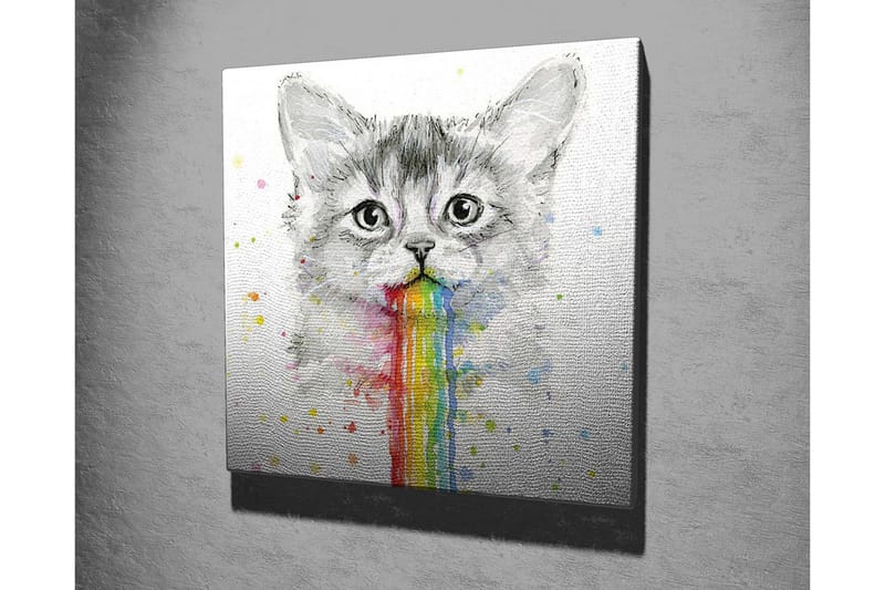 Canvastavla - Katt med regnbågsfärgad spya - Grå / Regnbåge (röd / Orange - Inredning & dekor - Tavlor & konst - Canvastavla