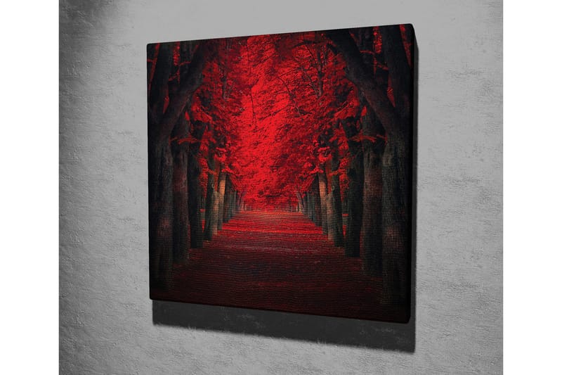 Canvastavla - Lummig allé med intensivt röda träd i höstskrud - Röd / Svart - Inredning & dekor - Tavlor & konst - Canvastavla