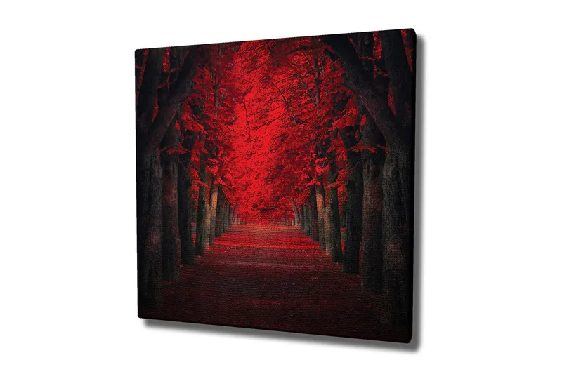 Canvastavla - Lummig allé med intensivt röda träd i höstskrud, Röd / Svart