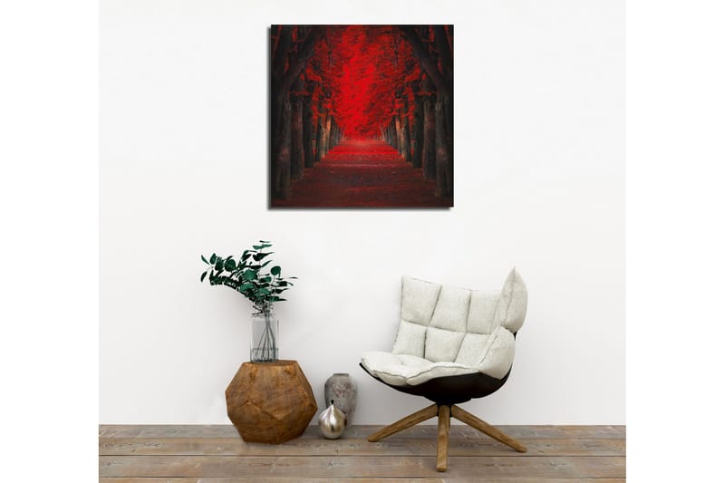Canvastavla - Lummig allé med intensivt röda träd i höstskrud - Röd / Svart - Inredning & dekor - Tavlor & konst - Canvastavla