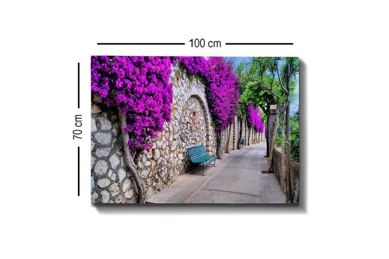 Canvastavla - Lummig gångväg omgiven av blommande bougainvillea - Lila / Grå / Grön - Inredning & dekor - Tavlor & konst - Canvastavla