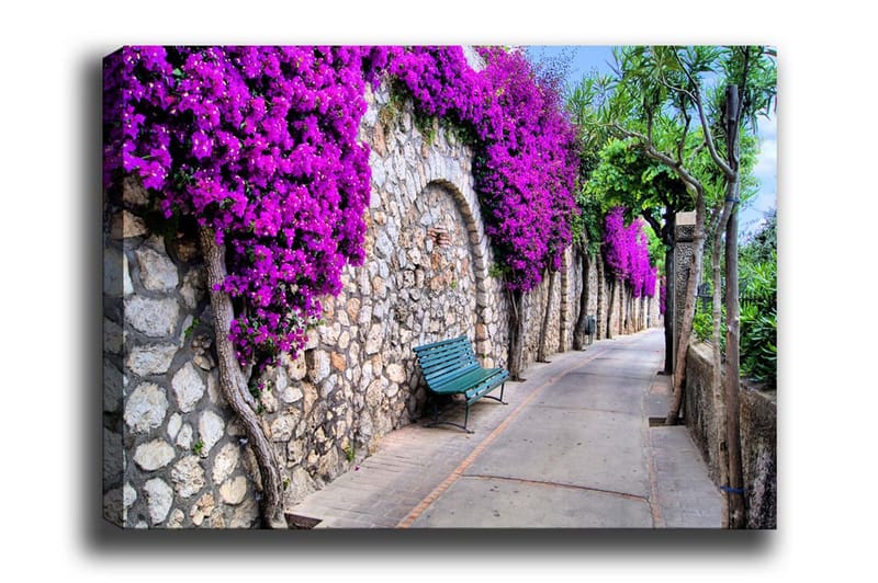 Canvastavla - Lummig gångväg omgiven av blommande bougainvillea, Lila / Grå / Grön