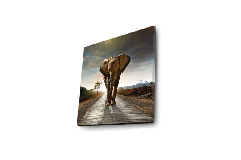 Canvastavla med LED-belysning 28x28 cm - Elefant som går längs en väg i solnedgången - Grå / Brun / Orange - Inredning & dekor - Tavlor & konst - Canvastavla