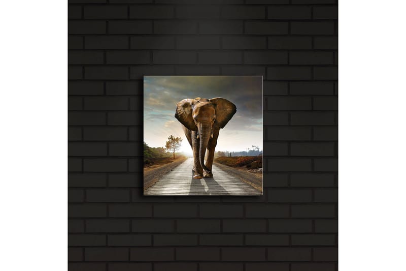 Canvastavla med LED-belysning 28x28 cm - Elefant som går längs en väg i solnedgången - Grå / Brun / Orange - Inredning & dekor - Tavlor & konst - Canvastavla