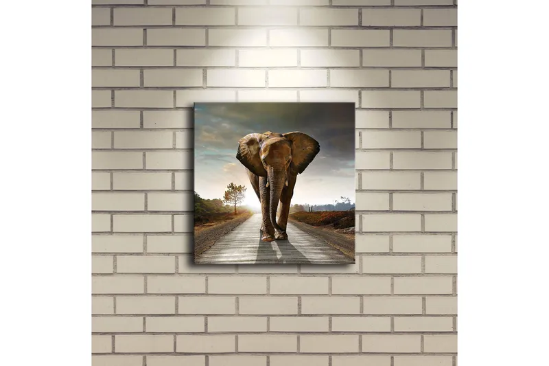 Canvastavla med LED-belysning 28x28 cm - Elefant som går längs en väg i solnedgången - Grå / Brun / Orange - Inredning & dekor - Tavlor & konst - Canvastavla