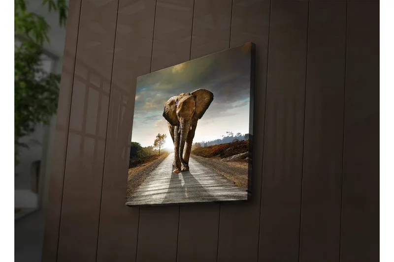 Canvastavla med LED-belysning 28x28 cm - Elefant som går längs en väg i solnedgången - Grå / Brun / Orange - Inredning & dekor - Tavlor & konst - Canvastavla