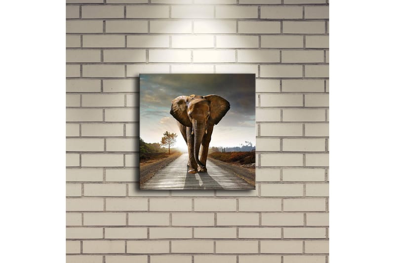 Canvastavla med LED-belysning 28x28 cm - Elefant som går längs en väg i solnedgången - Grå / Brun / Orange - Inredning & dekor - Tavlor & konst - Canvastavla