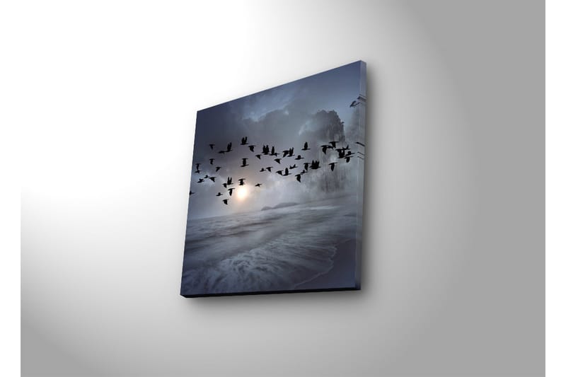 Canvastavla med LED-belysning 28x28 cm - Flock av fåglar som flyger över en dimmig havslandskap - Mörkblå / Grå / Vit - Inredning & dekor - Tavlor & konst - Canvastavla