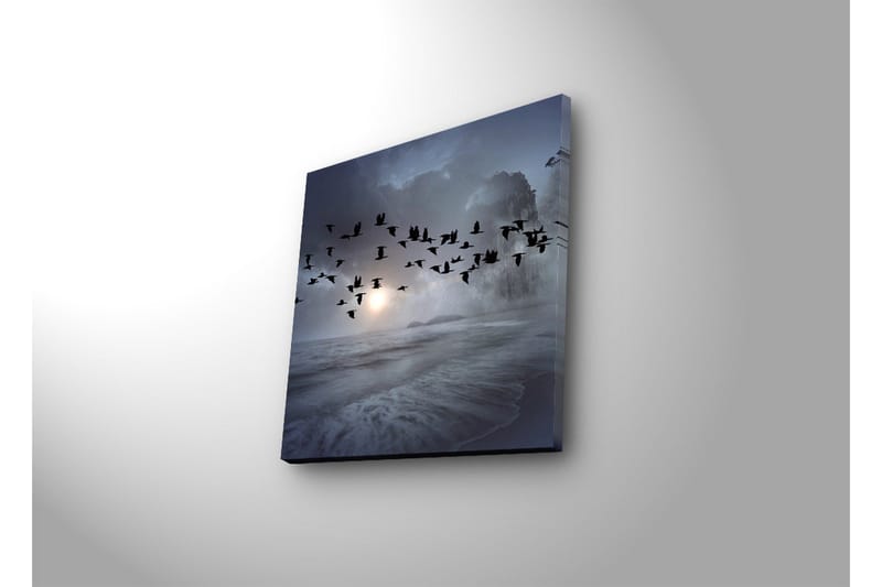 Canvastavla med LED-belysning 28x28 cm - Flock av fåglar som flyger över en dimmig havslandskap - Mörkblå / Grå / Vit - Inredning & dekor - Tavlor & konst - Canvastavla