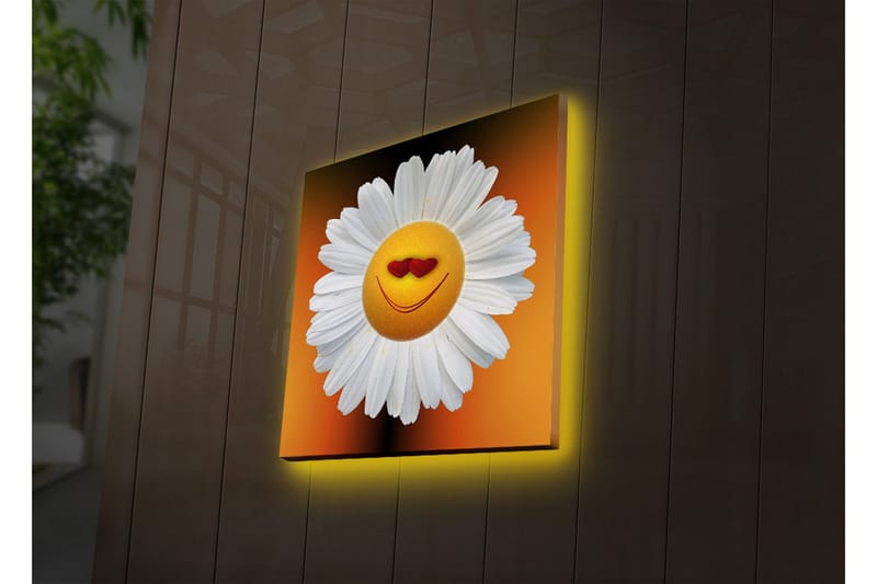Canvastavla med LED-belysning 28x28 cm - Glad blomma med leende ansikte och hjärtformade ögon - Vit / Orange / Gul - Inredning & dekor - Tavlor & konst - Canvastavla