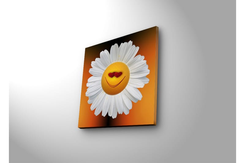 Canvastavla med LED-belysning 28x28 cm - Glad blomma med leende ansikte och hjärtformade ögon - Vit / Orange / Gul - Inredning & dekor - Tavlor & konst - Canvastavla