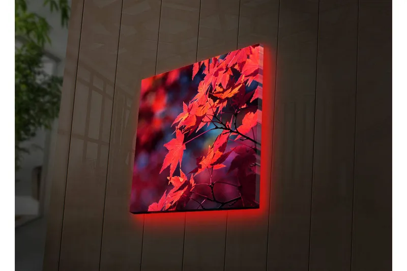 Canvastavla med LED-belysning 28x28 cm - Klar röd lönnlöv i höstfärger, Röd / Orange / Mörkblå