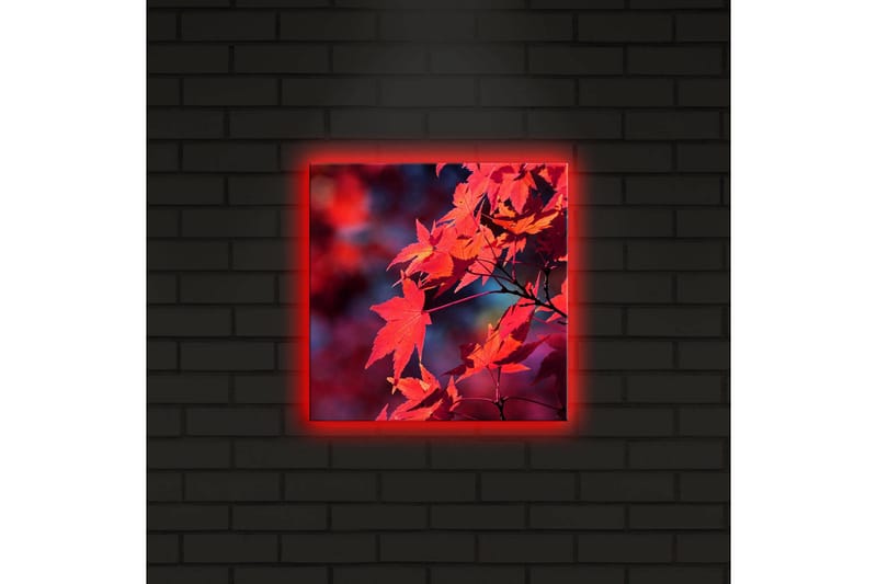 Canvastavla med LED-belysning 28x28 cm - Klar röd lönnlöv i höstfärger - Röd / Orange / Mörkblå - Inredning & dekor - Tavlor & konst - Canvastavla