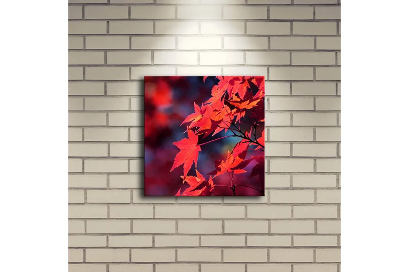 Canvastavla med LED-belysning 28x28 cm - Klar röd lönnlöv i höstfärger - Röd / Orange / Mörkblå - Inredning & dekor - Tavlor & konst - Canvastavla