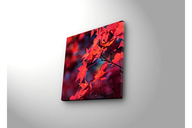 Canvastavla med LED-belysning 28x28 cm - Klar röd lönnlöv i höstfärger - Röd / Orange / Mörkblå - Inredning & dekor - Tavlor & konst - Canvastavla