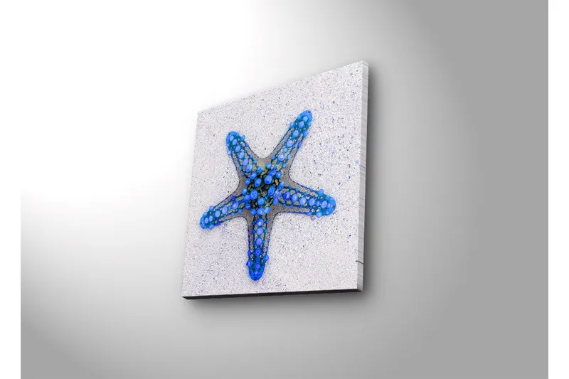 Canvastavla med LED-belysning 28x28 cm - Stjärna av havet i blå nyanser - Blå / Ljusblå / Beige - Inredning & dekor - Tavlor & konst - Canvastavla