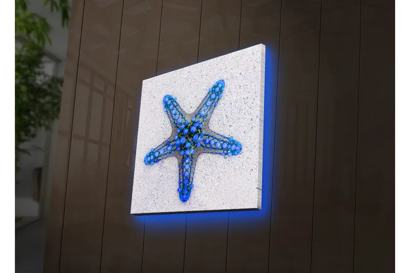 Canvastavla med LED-belysning 28x28 cm - Stjärna av havet i blå nyanser - Blå / Ljusblå / Beige - Inredning & dekor - Tavlor & konst - Canvastavla