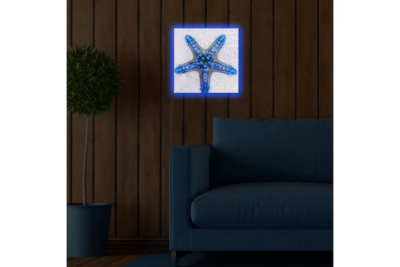 Canvastavla med LED-belysning 28x28 cm - Stjärna av havet i blå nyanser - Blå / Ljusblå / Beige - Inredning & dekor - Tavlor & konst - Canvastavla