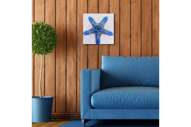 Canvastavla med LED-belysning 28x28 cm - Stjärna av havet i blå nyanser - Blå / Ljusblå / Beige - Inredning & dekor - Tavlor & konst - Canvastavla