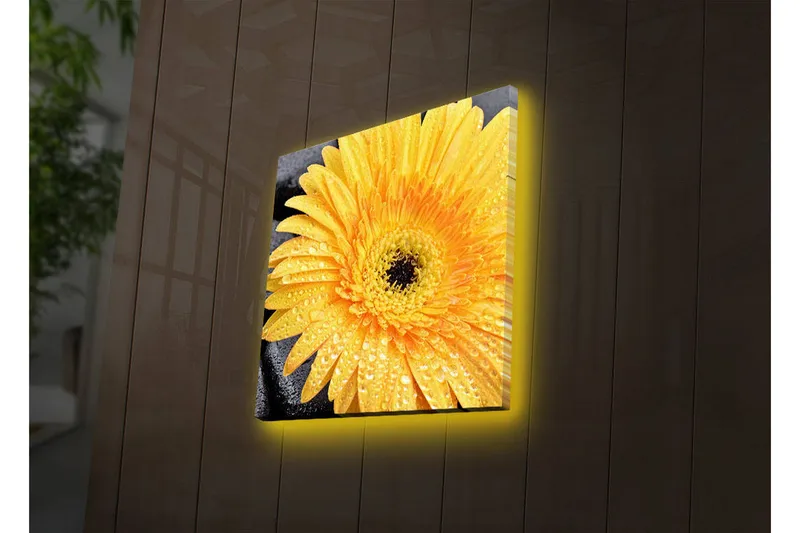 Canvastavla med LED-belysning 28x28 cm - Storslagen gul gerbera med droppar av vatten - Gul / Svart - Inredning & dekor - Tavlor & konst - Canvastavla