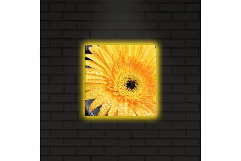 Canvastavla med LED-belysning 28x28 cm - Storslagen gul gerbera med droppar av vatten - Gul / Svart - Inredning & dekor - Tavlor & konst - Canvastavla