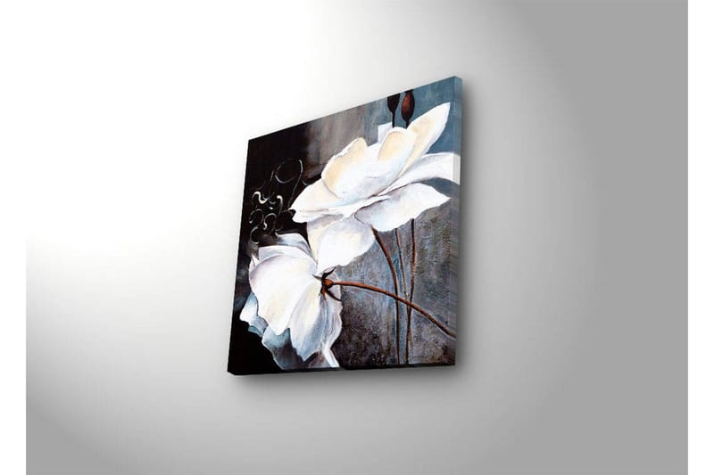 Canvastavla med LED-belysning 28x28 cm - Vita blommor med eleganta detaljer - Vit / Grå / Brun - Inredning & dekor - Tavlor & konst - Canvastavla