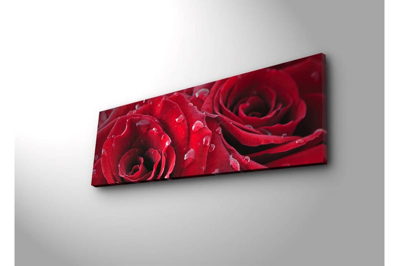 Canvastavla med LED-belysning 30x90 cm - Djupa röda rosor med vattendroppar - Röd / Grön - Inredning & dekor - Tavlor & konst - Canvastavla