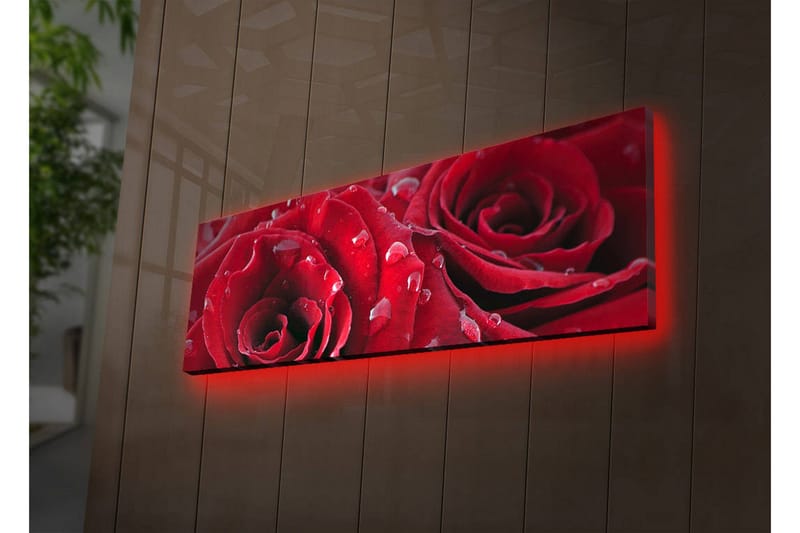 Canvastavla med LED-belysning 30x90 cm - Djupa röda rosor med vattendroppar, Röd / Grön