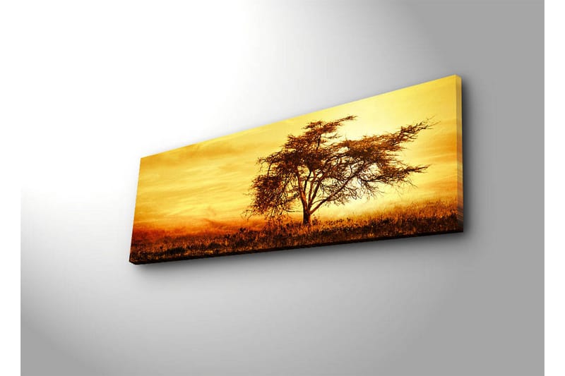 Canvastavla med LED-belysning 30x90 cm - Ensam akaciaträd mot en gyllene solnedgång - Guld / Brun / Orange - Inredning & dekor - Tavlor & konst - Canvastavla