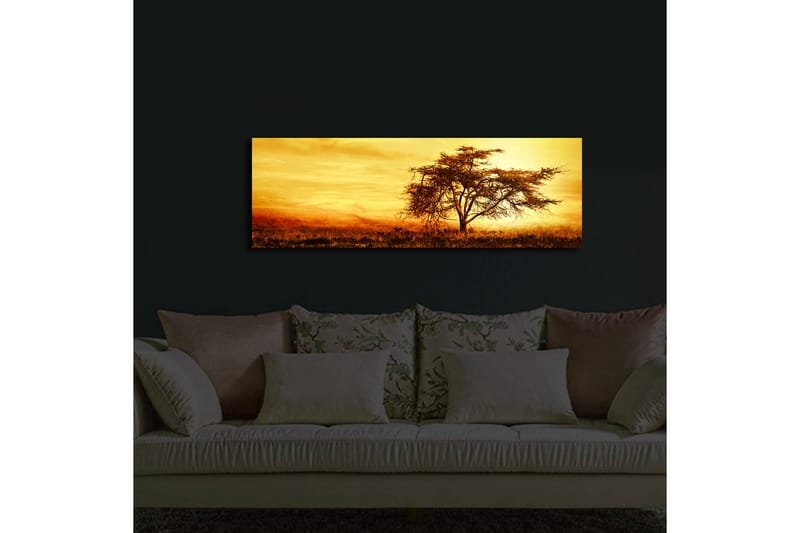 Canvastavla med LED-belysning 30x90 cm - Ensam akaciaträd mot en gyllene solnedgång - Guld / Brun / Orange - Inredning & dekor - Tavlor & konst - Canvastavla