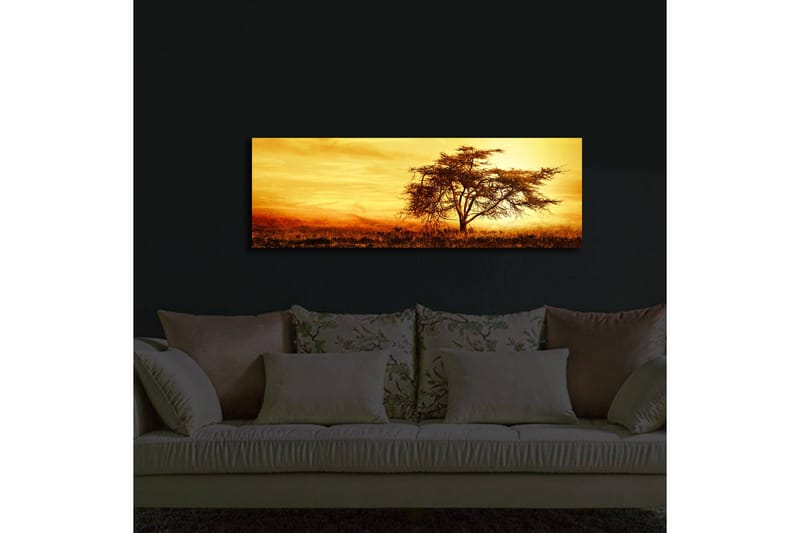 Canvastavla med LED-belysning 30x90 cm - Ensam akaciaträd mot en gyllene solnedgång - Guld / Brun / Orange - Inredning & dekor - Tavlor & konst - Canvastavla