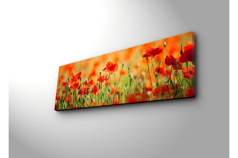 Canvastavla med LED-belysning 30x90 cm - Fält av röda vallmo-blommor i en grönskande omgivning - Röd / Grön / Orange - Inredning & dekor - Tavlor & konst - Canvastavla