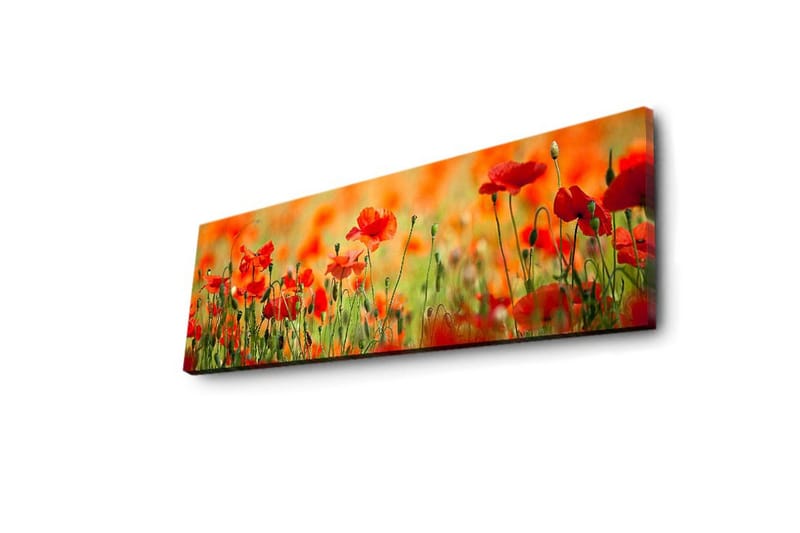 Canvastavla med LED-belysning 30x90 cm - Fält av röda vallmo-blommor i en grönskande omgivning - Röd / Grön / Orange - Inredning & dekor - Tavlor & konst - Canvastavla