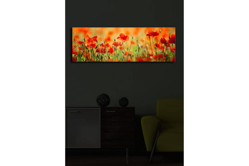 Canvastavla med LED-belysning 30x90 cm - Fält av röda vallmo-blommor i en grönskande omgivning - Röd / Grön / Orange - Inredning & dekor - Tavlor & konst - Canvastavla