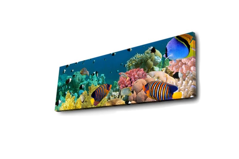 Canvastavla med LED-belysning 30x90 cm - Färgglad undervattensscen med tropiska fiskar och koraller - Blå / Gul / Rosa - Inredning & dekor - Tavlor & konst - Canvastavla
